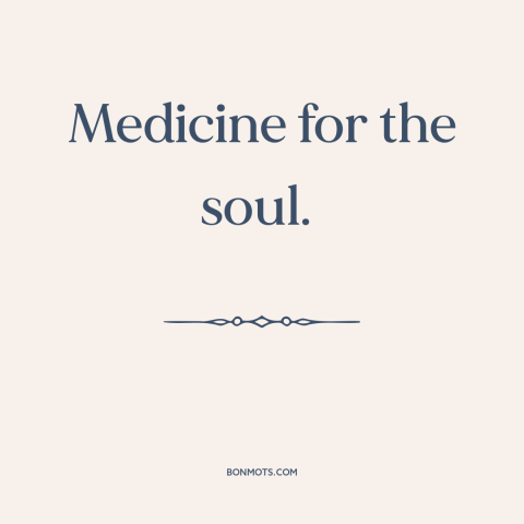 A quote about libraries: “Medicine for the soul.”