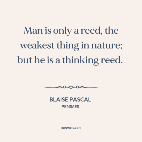 A quote by Blaise Pascal about man and nature: “Man is only a reed, the weakest thing in nature; but he is a…”