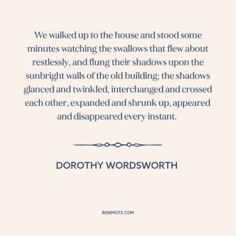 A quote by Dorothy Wordsworth about birds: “We walked up to the house and stood some minutes watching the swallows that…”