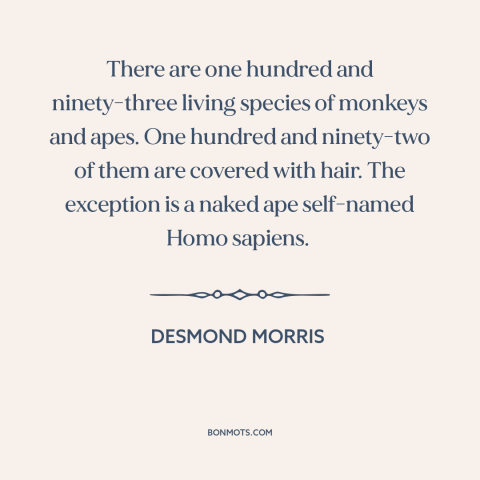 A quote by Desmond Morris about primates: “There are one hundred and ninety-three living species of monkeys and apes.”