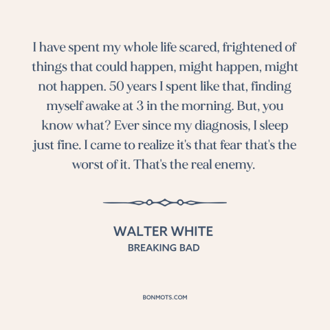 A quote from Breaking Bad about living in fear: “I have spent my whole life scared, frightened of things that…”