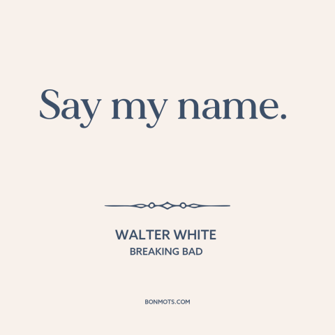 A quote from Breaking Bad about names: “Say my name.”