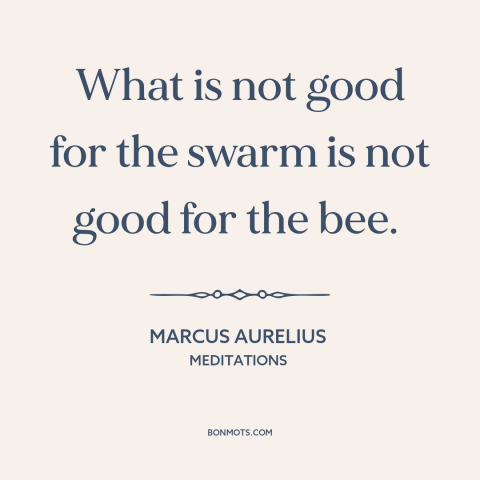 A quote by Marcus Aurelius about individual vs. the collective: “What is not good for the swarm is not good for the bee.”