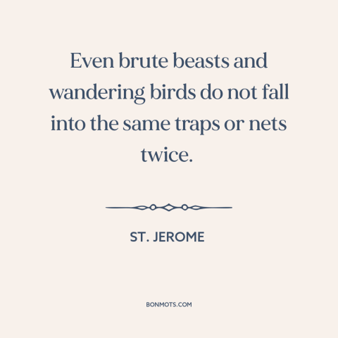 A quote by St. Jerome about learning from mistakes: “Even brute beasts and wandering birds do not fall into the same traps…”