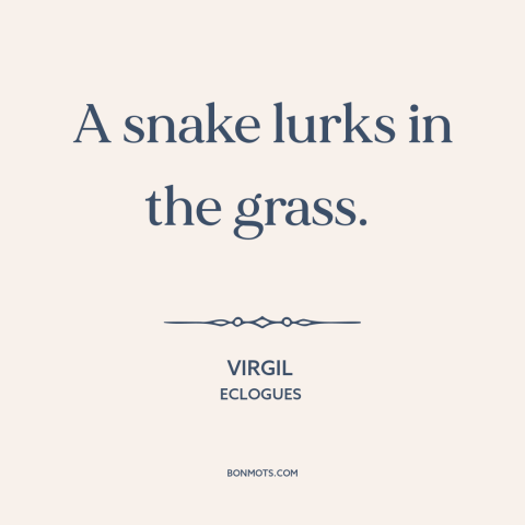 A quote by Virgil about danger: “A snake lurks in the grass.”