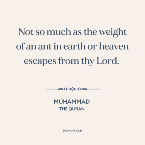 A quote by Muhammad about god's omniscience: “Not so much as the weight of an ant in earth or heaven escapes…”