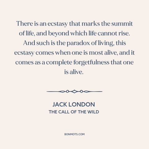 A quote by Jack London about feeling alive: “There is an ecstasy that marks the summit of life, and beyond which life…”