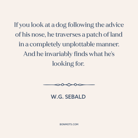 A quote by W.G. Sebald about dogs: “If you look at a dog following the advice of his nose, he traverses a patch…”