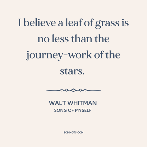 A quote by Walt Whitman about grass: “I believe a leaf of grass is no less than the journey-work of the stars.”