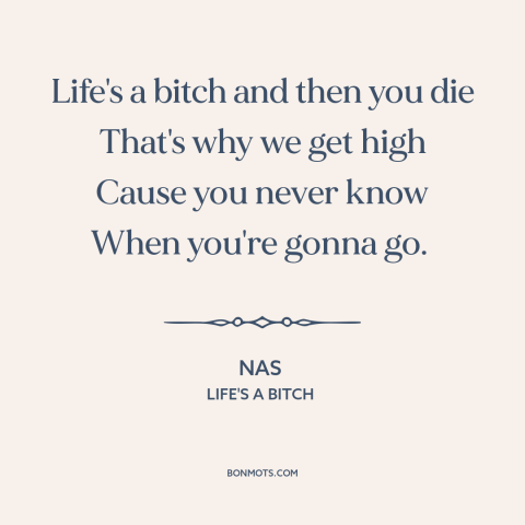 A quote by Nas about the human condition: “Life's a bitch and then you die That's why we get high Cause you…”