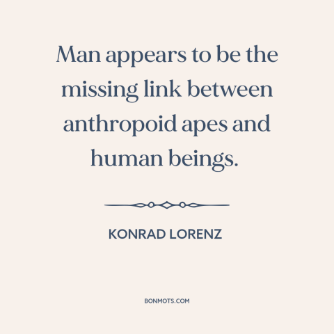 A quote by Konrad Lorenz about man and animals: “Man appears to be the missing link between anthropoid apes and human…”