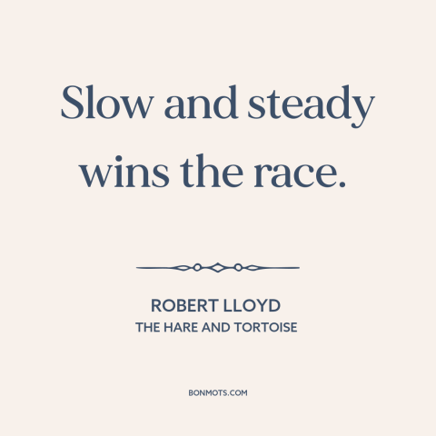 A quote by Robert Lloyd about persistence: “Slow and steady wins the race.”