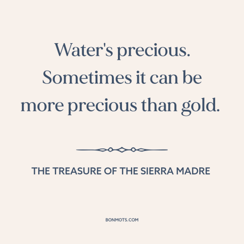 A quote from The Treasure of the Sierra Madre: “Water's precious. Sometimes it can be more precious than gold.”