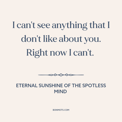 A quote from Eternal Sunshine of the Spotless Mind about infatuation: “I can't see anything that I don't like about you.”