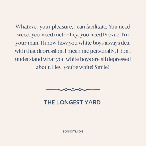 A quote from The Longest Yard about white privilege: “Whatever your pleasure, I can facilitate. You need weed, you…”