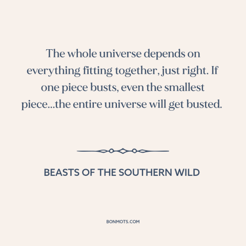 A quote from Beasts of the Southern Wild about nature of the universe: “The whole universe depends on everything fitting…”