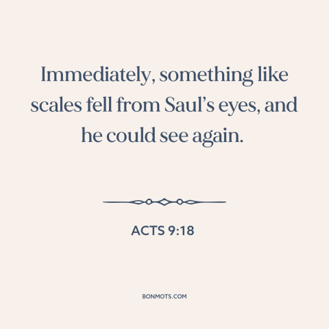 A quote from The Bible about new perspective: “Immediately, something like scales fell from Saul’s eyes, and he could see…”