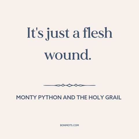 A quote from Monty Python and the Holy Grail about delusion: “It's just a flesh wound.”