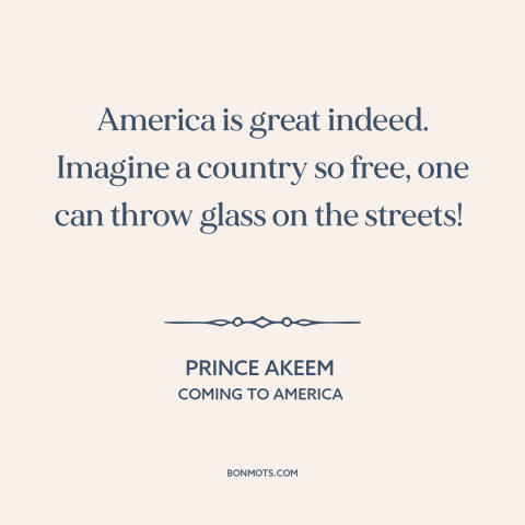 A quote from Coming to America about American freedom: “America is great indeed. Imagine a country so free, one can…”