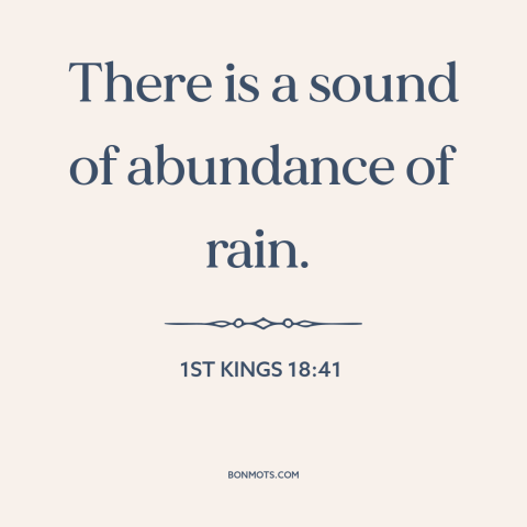 A quote from The Bible about rain: “There is a sound of abundance of rain.”