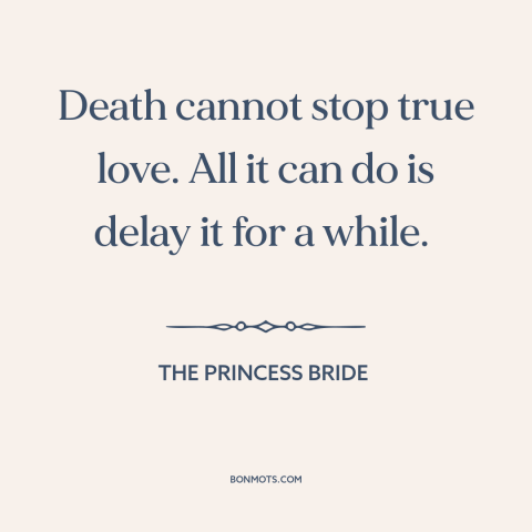 A quote from The Princess Bride about true love: “Death cannot stop true love. All it can do is delay it for a…”