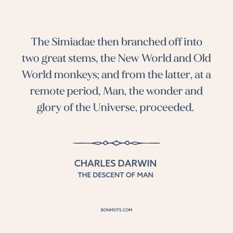 A quote by Charles Darwin about human origins: “The Simiadae then branched off into two great stems, the New World and Old…”