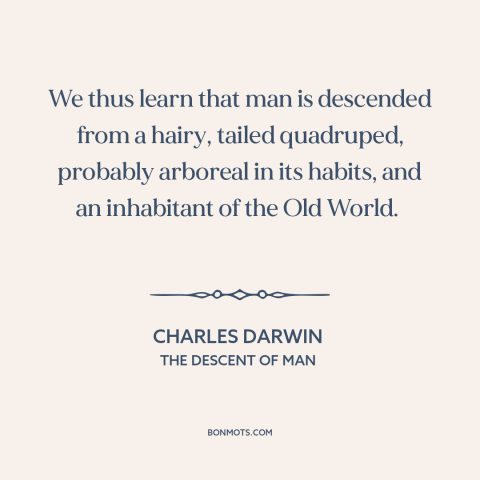 A quote by Charles Darwin about human origins: “We thus learn that man is descended from a hairy, tailed quadruped…”