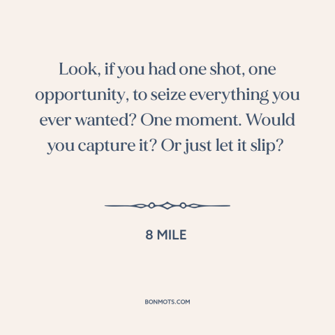 A quote from 8 Mile about going for it: “Look, if you had one shot, one opportunity, to seize everything you ever wanted?”