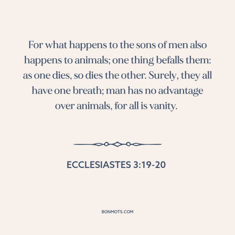 A quote from The Bible about man and animals: “For what happens to the sons of men also happens to animals; one thing…”