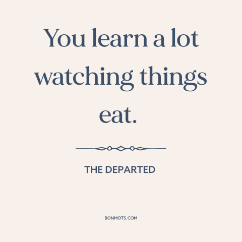 A quote from The Departed about observation: “You learn a lot watching things eat.”