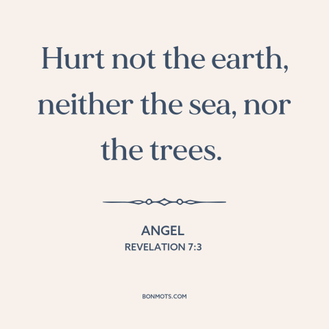 A quote from The Bible about conservation: “Hurt not the earth, neither the sea, nor the trees.”