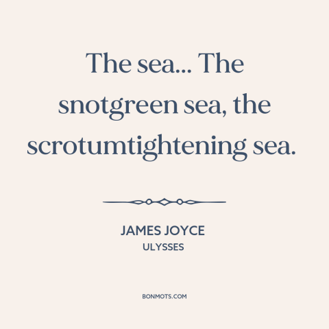 A quote by James Joyce about ocean and sea: “The sea... The snotgreen sea, the scrotumtightening sea.”