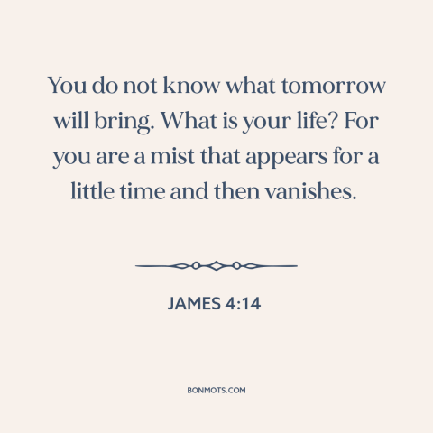 A quote from The Bible about ephemeral nature of life: “You do not know what tomorrow will bring. What is your life? For…”