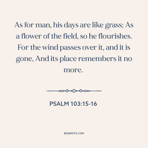 A quote from The Bible about ephemeral nature of life: “As for man, his days are like grass; As a flower of the field…”