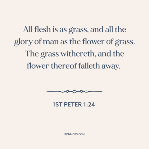 A quote from The Bible about sic transit gloria mundi: “All flesh is as grass, and all the glory of man as the flower…”