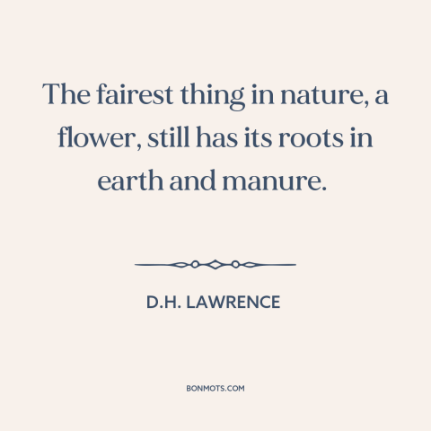 A quote by D.H. Lawrence about flowers: “The fairest thing in nature, a flower, still has its roots in earth and…”