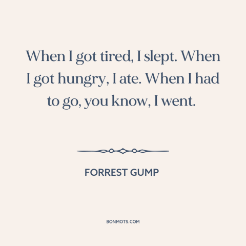 A quote from Forrest Gump about routine: “When I got tired, I slept. When I got hungry, I ate. When I had…”