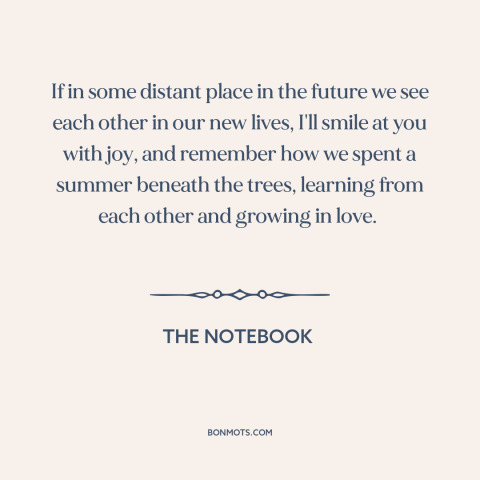 A quote from The Notebook about summer love: “If in some distant place in the future we see each other in our…”