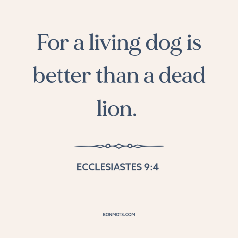 A quote from The Bible about life and death: “For a living dog is better than a dead lion.”