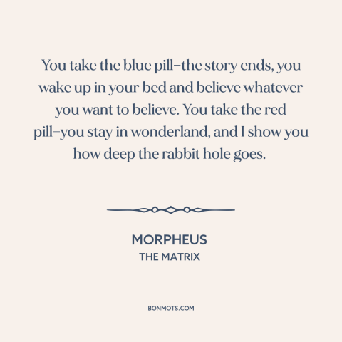 A quote from The Matrix about ignorance is bliss: “You take the blue pill—the story ends, you wake up in your bed and…”