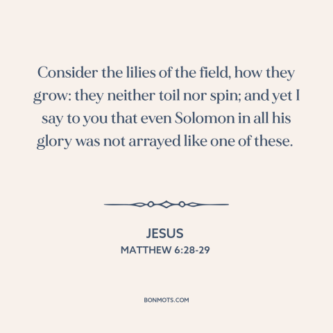 A quote by Jesus about worry: “Consider the lilies of the field, how they grow: they neither toil nor spin;…”