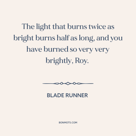 A quote from Blade Runner about living life to the fullest: “The light that burns twice as bright burns half as long…”