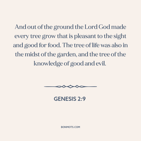 A quote from Genesis about trees: “And out of the ground the Lord God made every tree grow that is pleasant to the sight…”