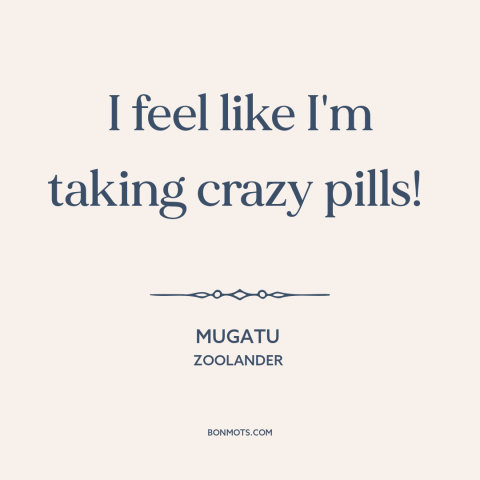 A quote from Zoolander about exasperation: “I feel like I'm taking crazy pills!”