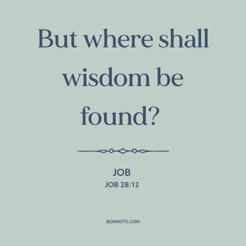 A quote from The Bible about seeking wisdom: “But where shall wisdom be found?”