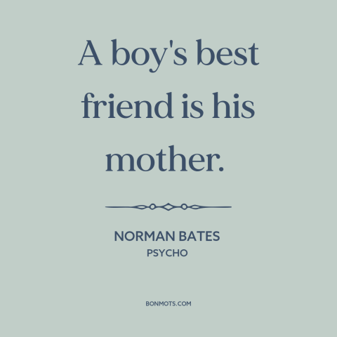 A quote from Psycho about mothers and sons: “A boy's best friend is his mother.”