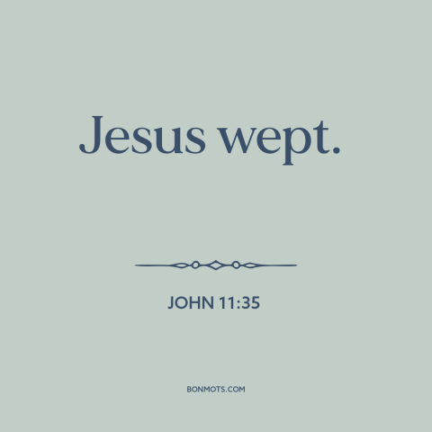 A quote from The Bible about crying: “Jesus wept.”