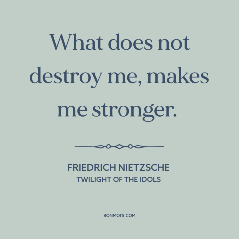 A quote by Friedrich Nietzsche about resilience: “What does not destroy me, makes me stronger.”