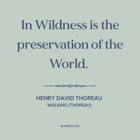 A quote by Henry David Thoreau about wilderness: “In Wildness is the preservation of the World.”