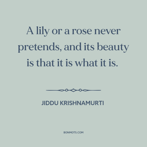 A quote by Jiddu Krishnamurti about lilies: “A lily or a rose never pretends, and its beauty is that it is what…”